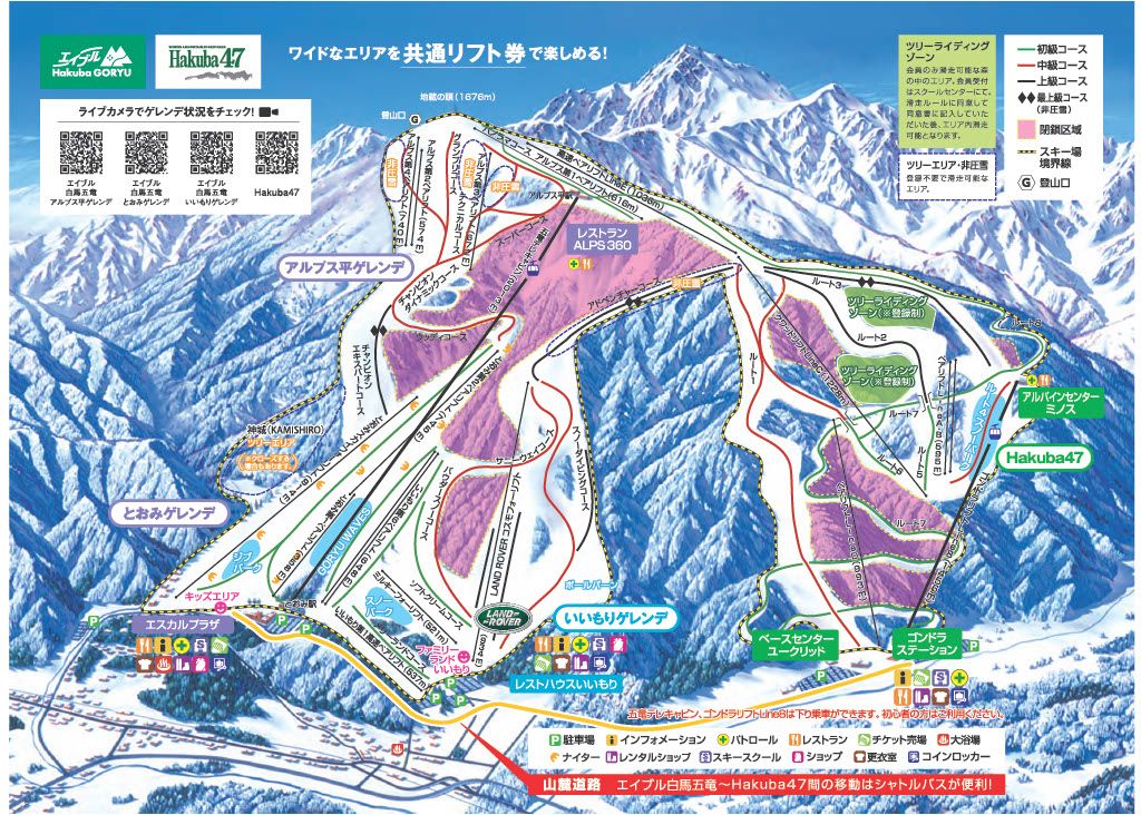 activity_detail_image