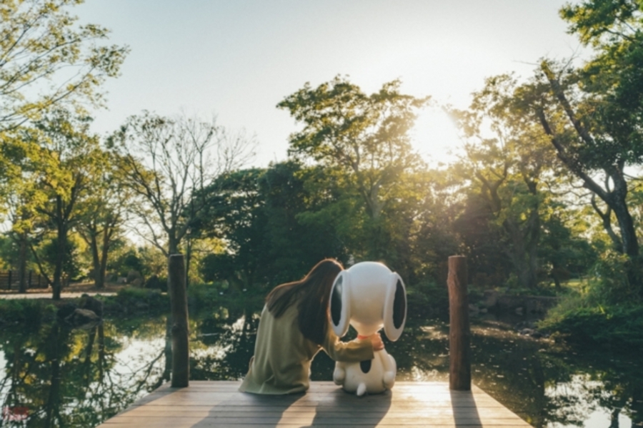 activity_detail_image