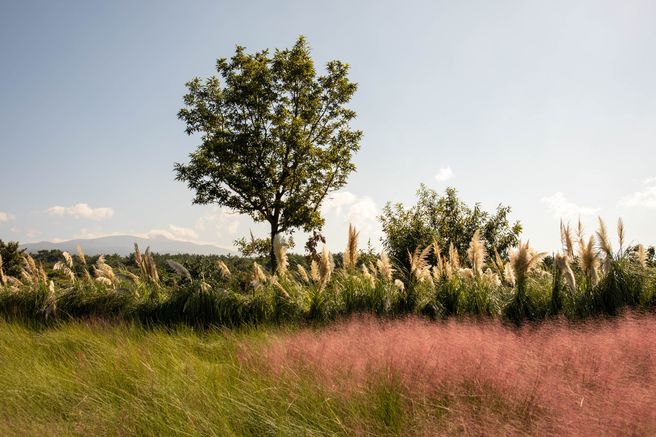 제주 서부 '핫플버스' 일일 버스 감성 투어