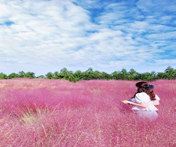 activity_detail_image