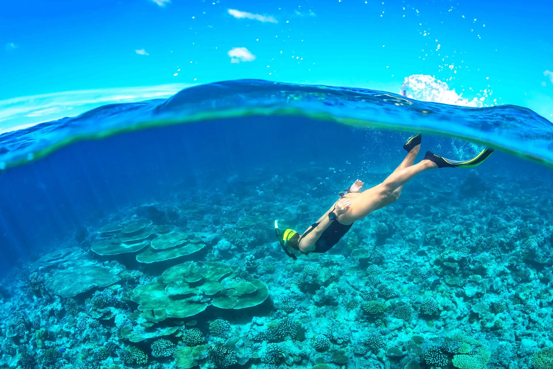 Cham Island Sea walking Half-Day Tour from Da Nang/Hoi An