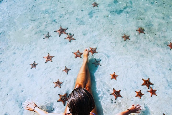 푸꾸옥 북부 탐험 - 카약 & 스타피쉬 비치 투어 by 존스투어