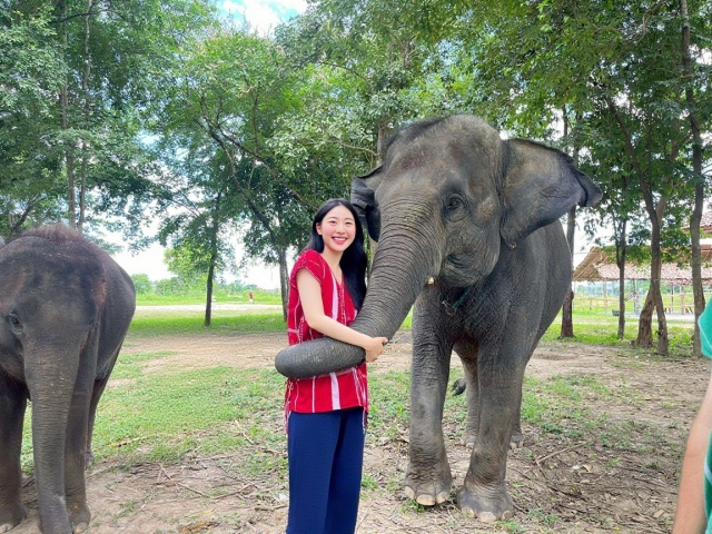 치앙마이 코끼리 카페 체험 - 2025년 오픈