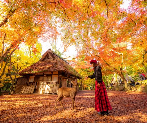 activity_detail_image