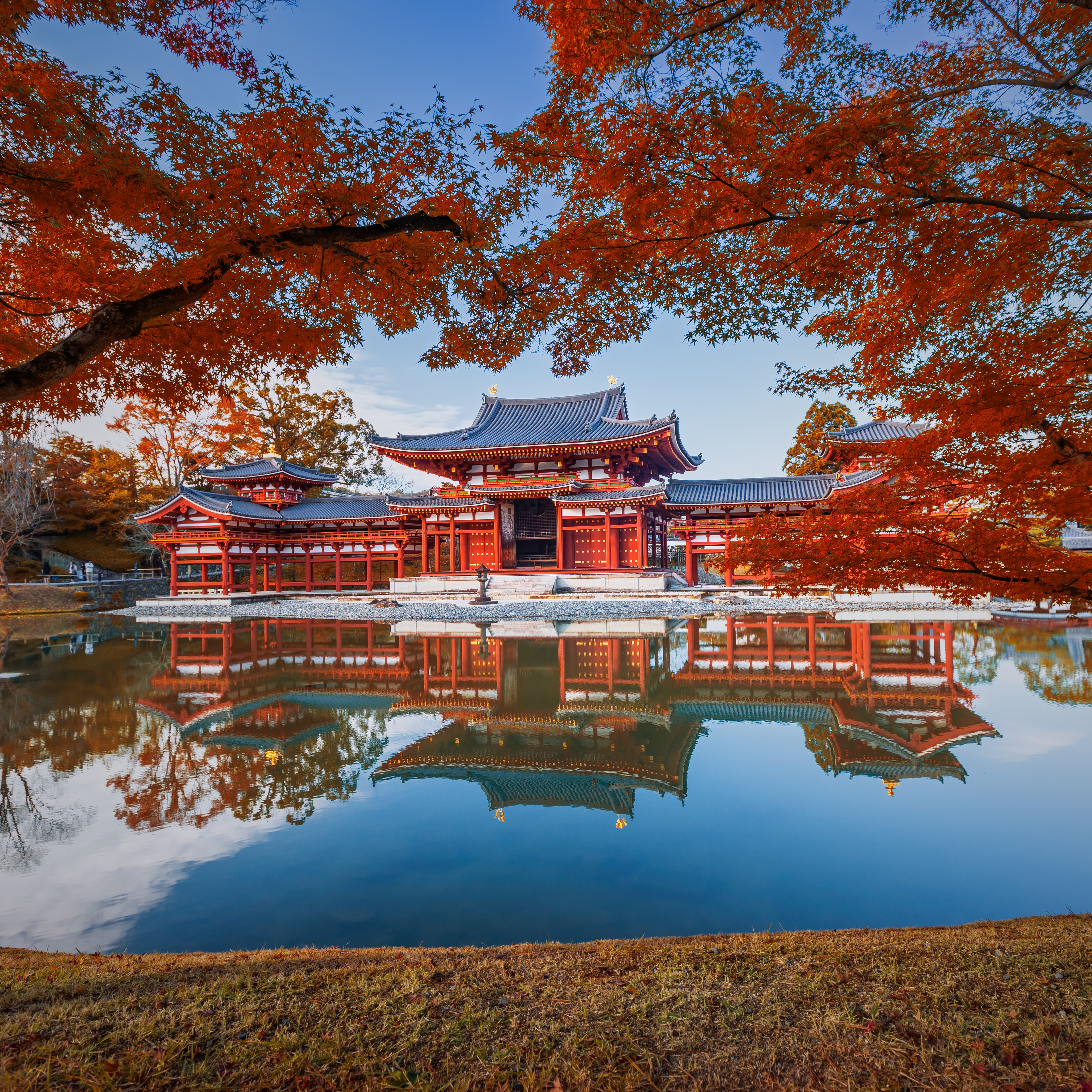 activity_detail_image