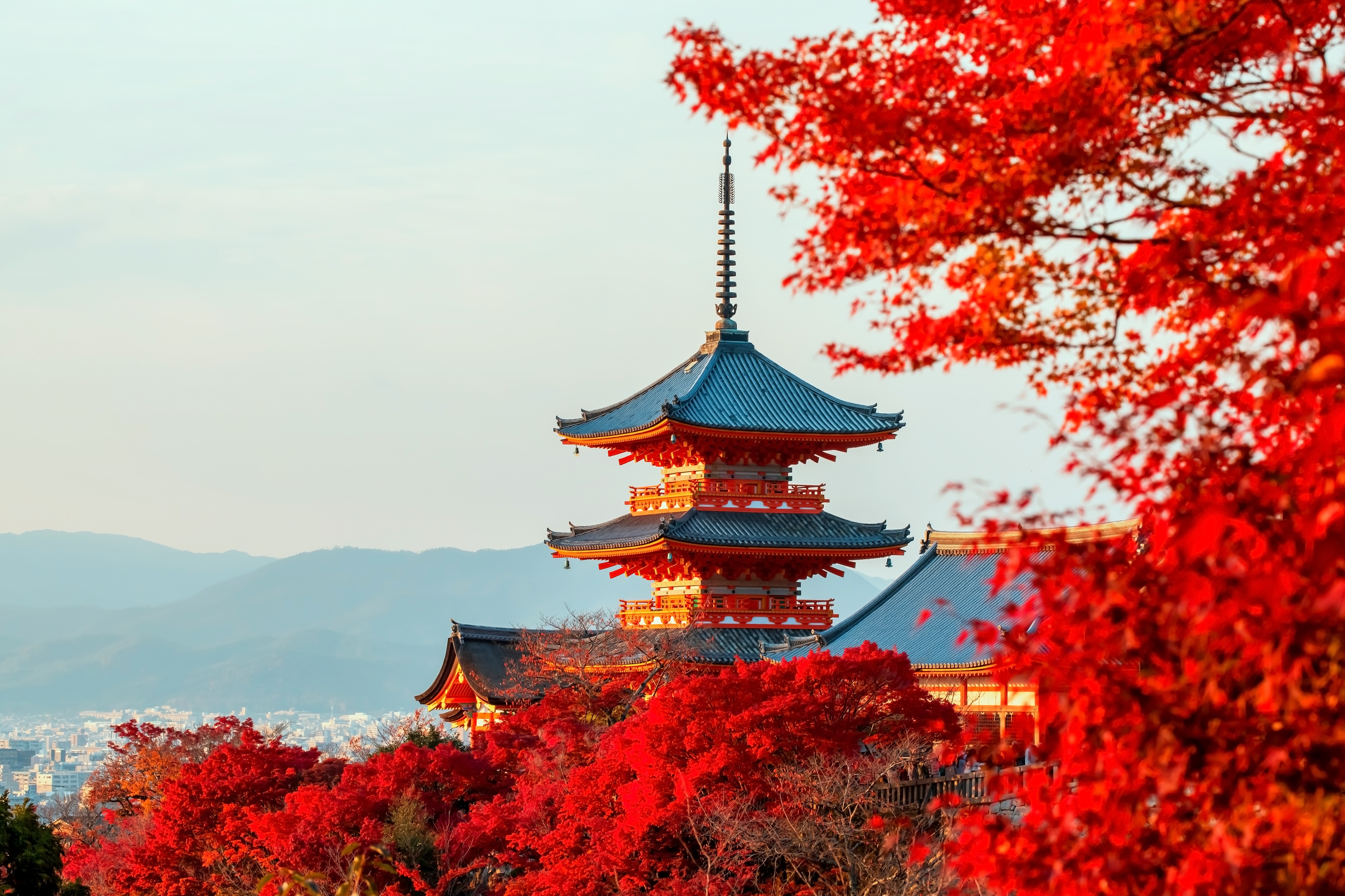 activity_detail_image