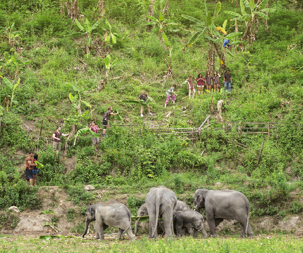 activity_detail_image