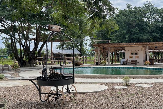Chiang Mai Elephant Café Experience – Opened in 2025