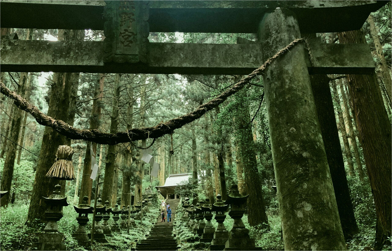 후쿠오카 출발: 구마모토 & 미야자키 일일 투어 (가미시키미 쿠마노이마스 신사, 아마노이와토 신사, 타카치호) - WAUG Exclusive