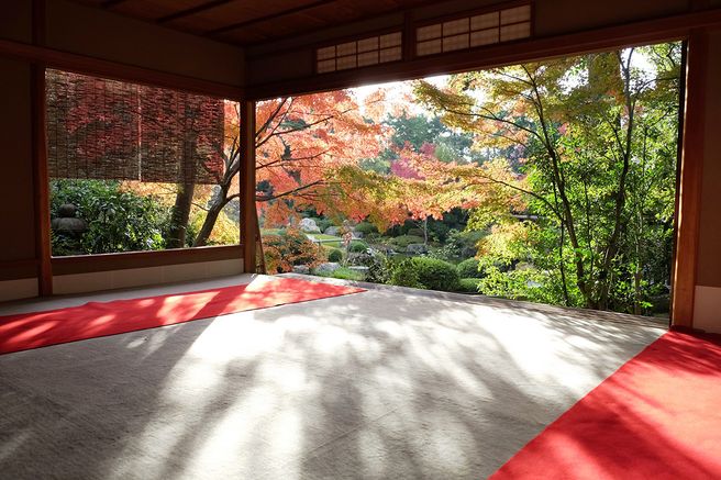 Kyoto Taizo-in Temple Admission Ticket