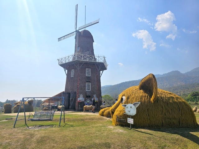 치앙마이 몬쨈 + 후웨이퉁타오 호수 단독 투어 (한국어 가이드 포함)