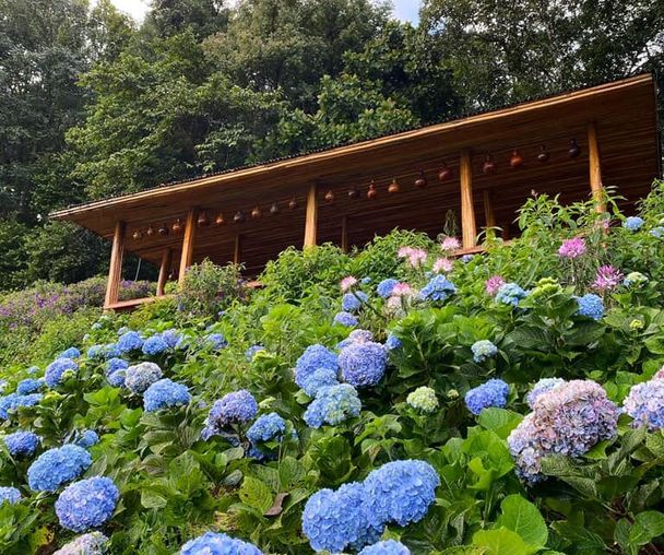 activity_detail_image