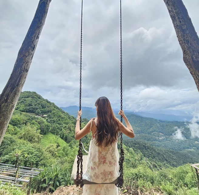 치앙마이 몬쨈 & 엘리핀팜 & 싸이프레스레인 & 도이수텝 야경 하루에 모두 만나는 투어