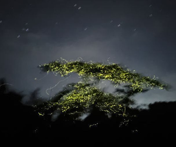 activity_detail_image