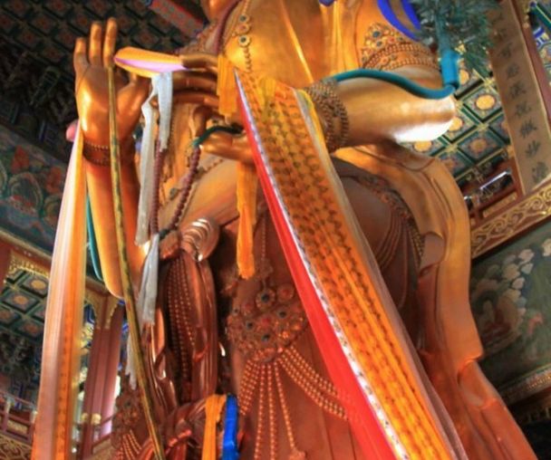 activity_detail_image