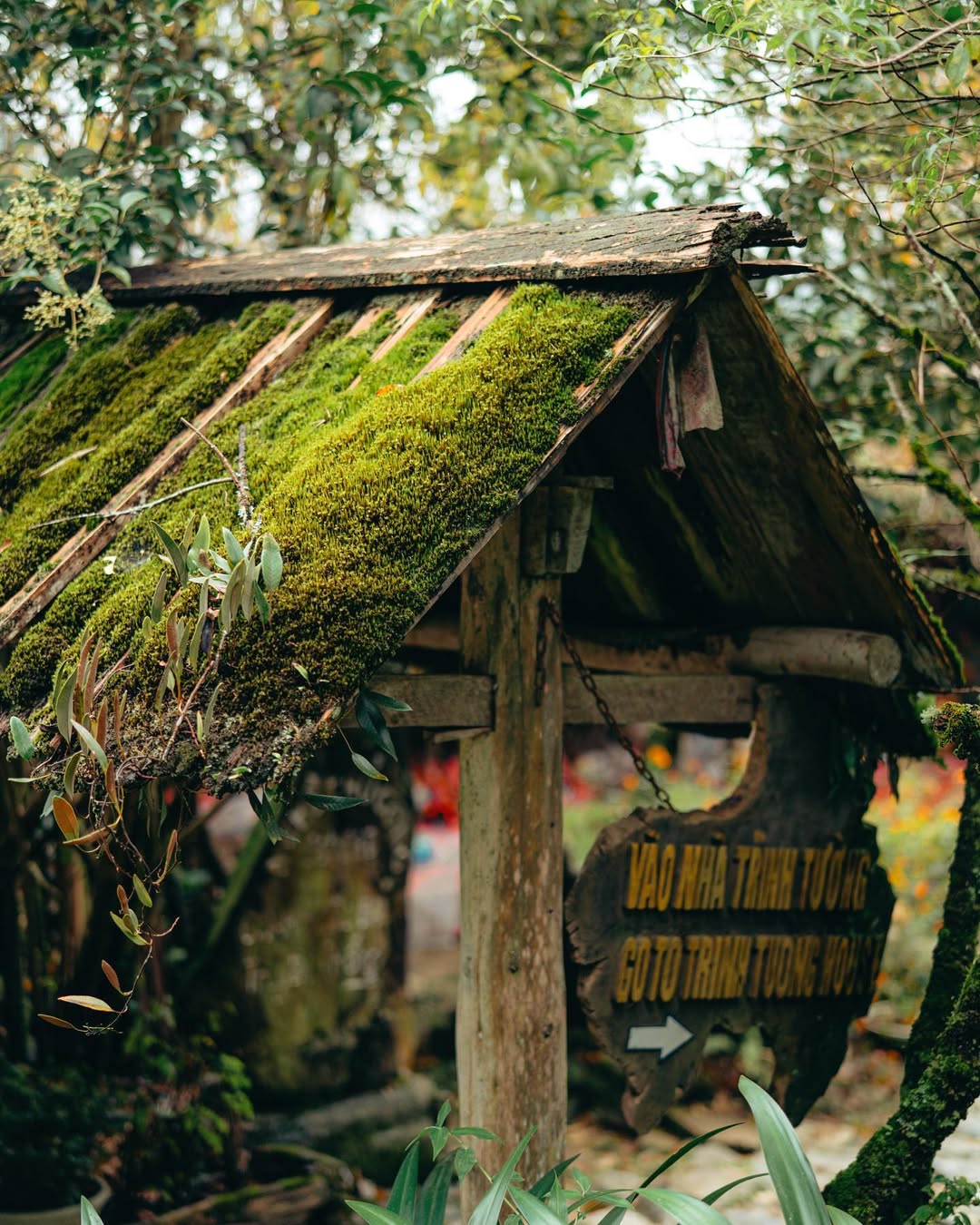 하노이 출발: 사파 3일 트레킹 모험 투어 - Ta Van Village 숙박 (WAUG Exclusive)