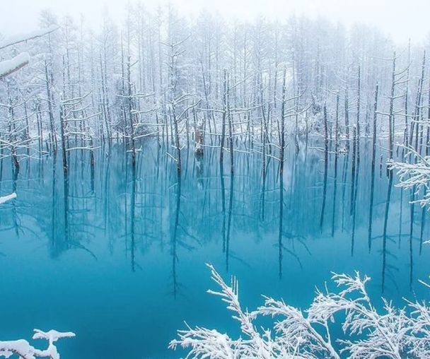 activity_detail_image