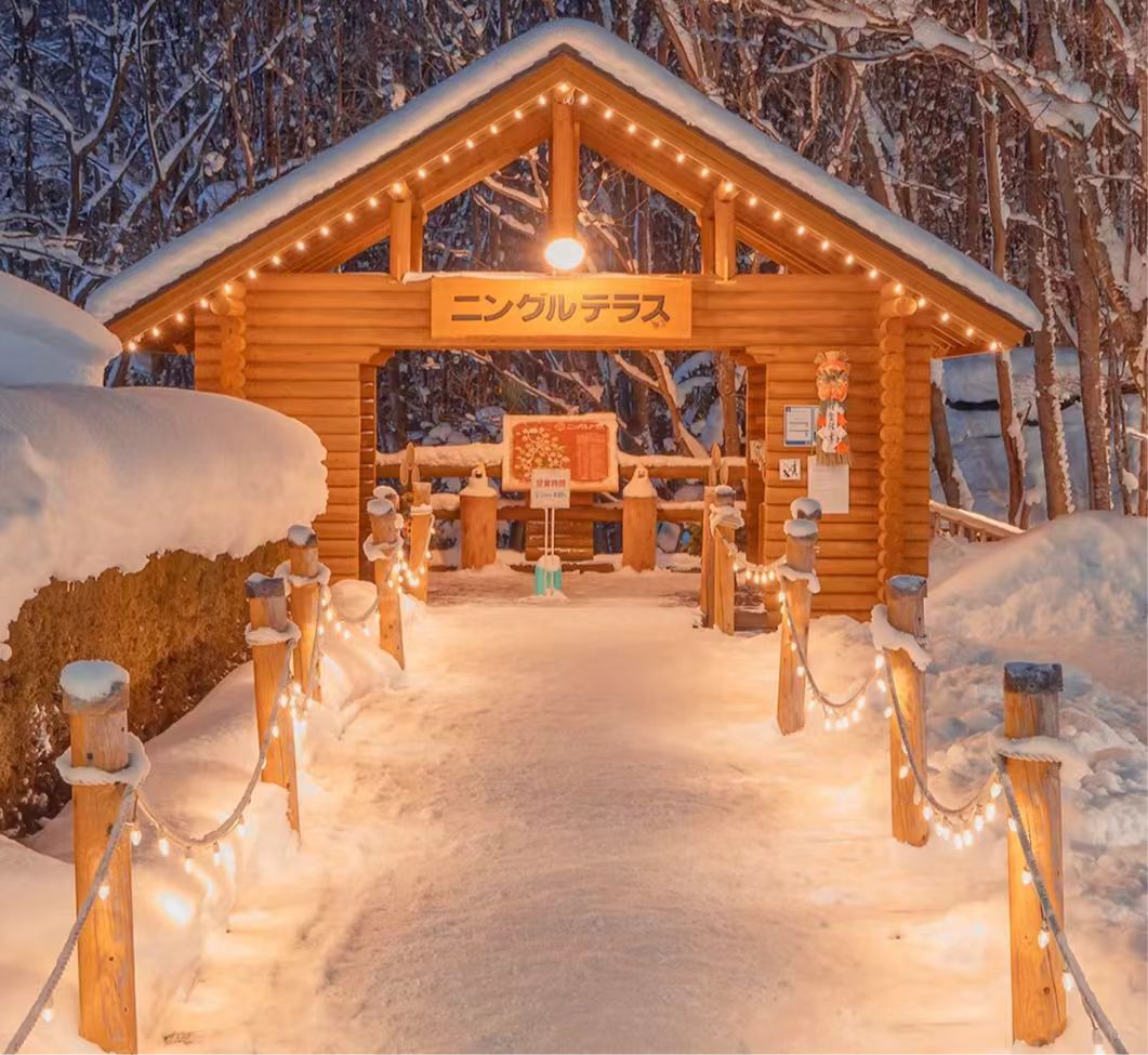 [독점할인] 홋카이도 아사히야마 동물원 & 닝구르 테라스 투어 (WAUG Exclusive)