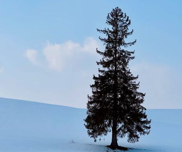 activity_detail_image