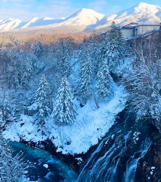 Exclusive Discount: Hokkaido Asahiyama Zoo & Shikisai no Oka Tour