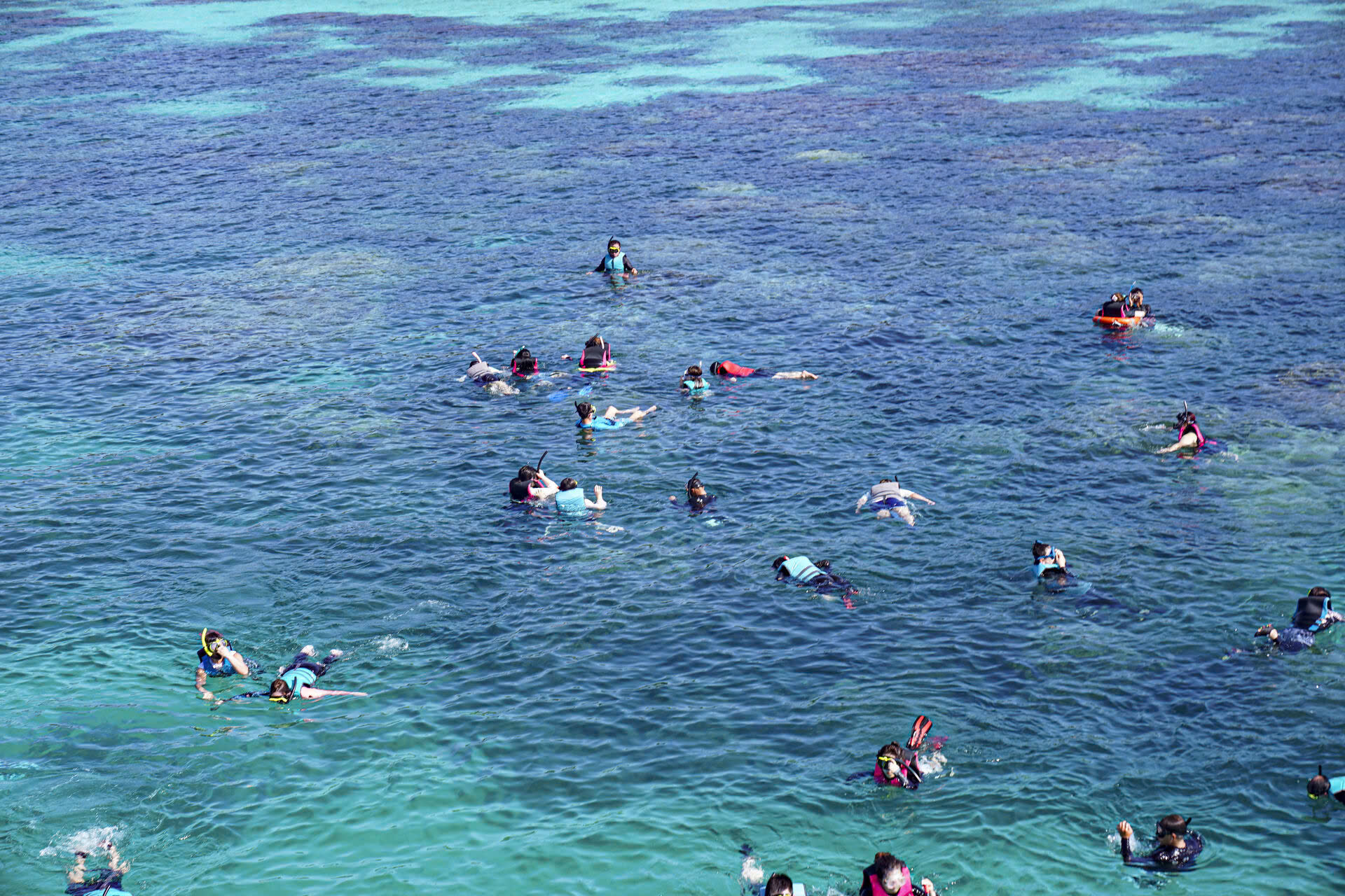 activity_detail_image