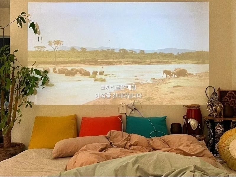 '욜로올레제주' 캠핑이 있는 감성 숙소 & 캠핑존 숙박권 (사전예약 필수)