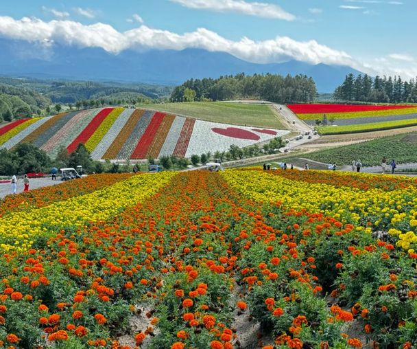 activity_detail_image