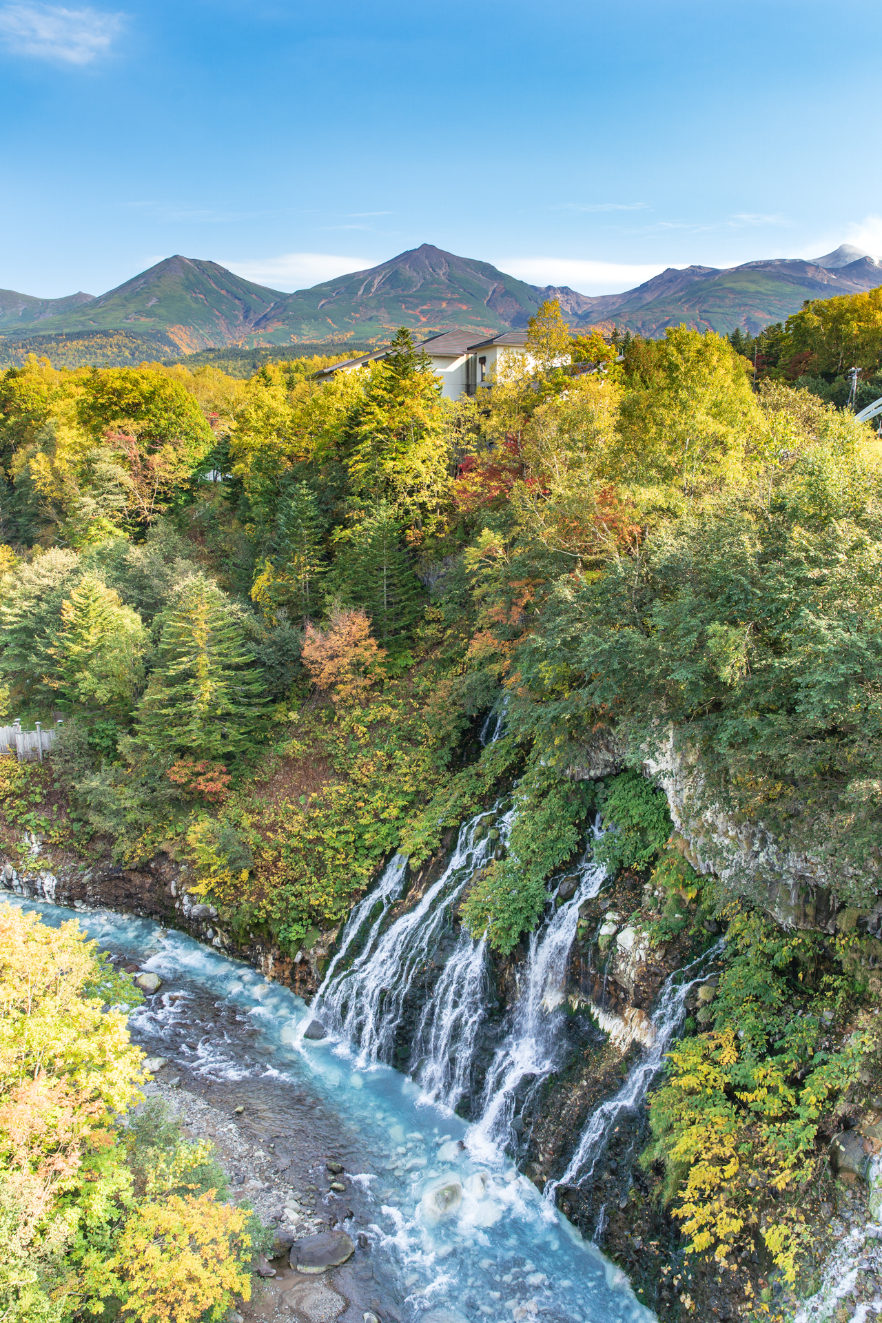 [엔데이트립] 삿포로 비에이 후라노 버스투어 (1인부터 출발 확정)