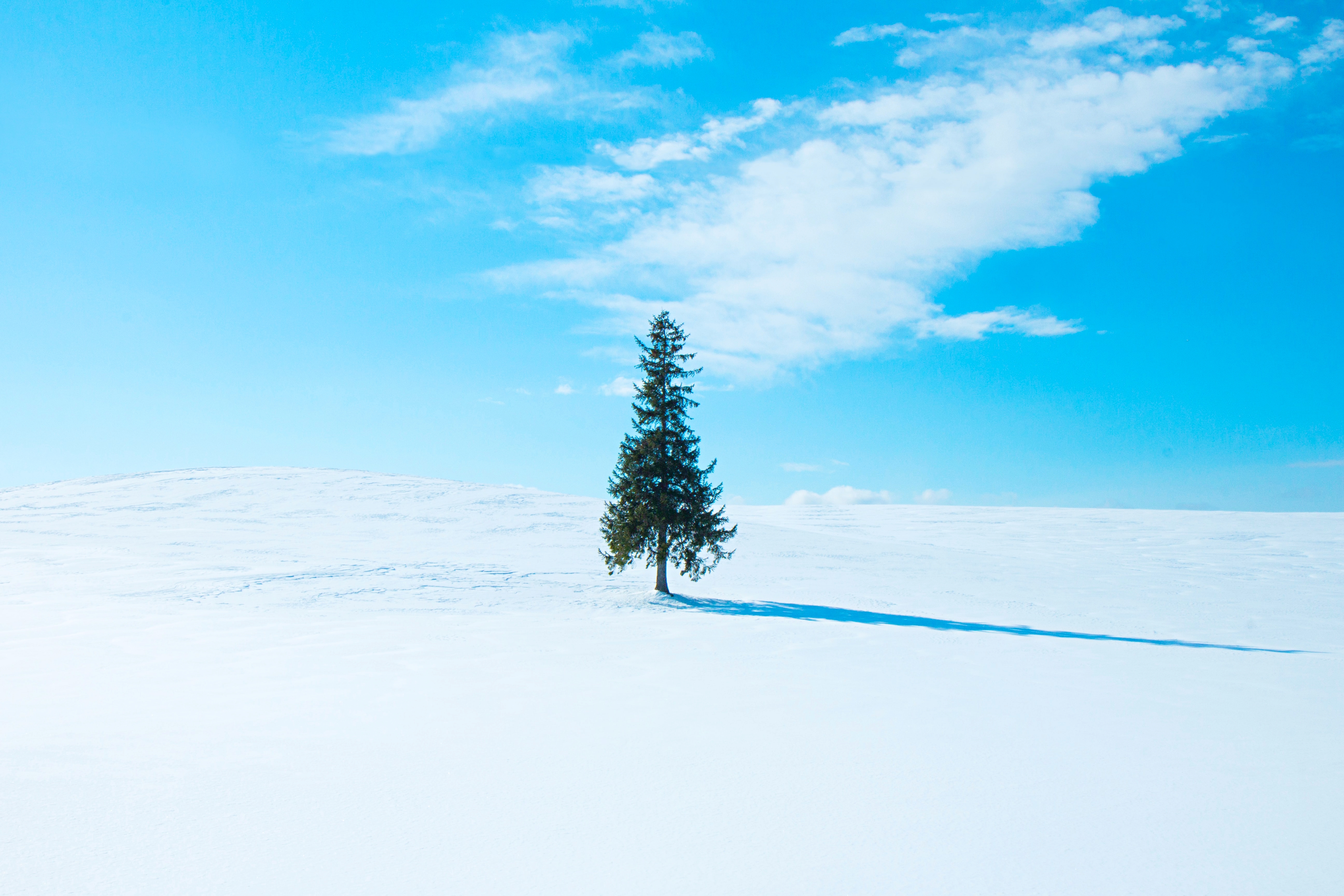 activity_detail_image