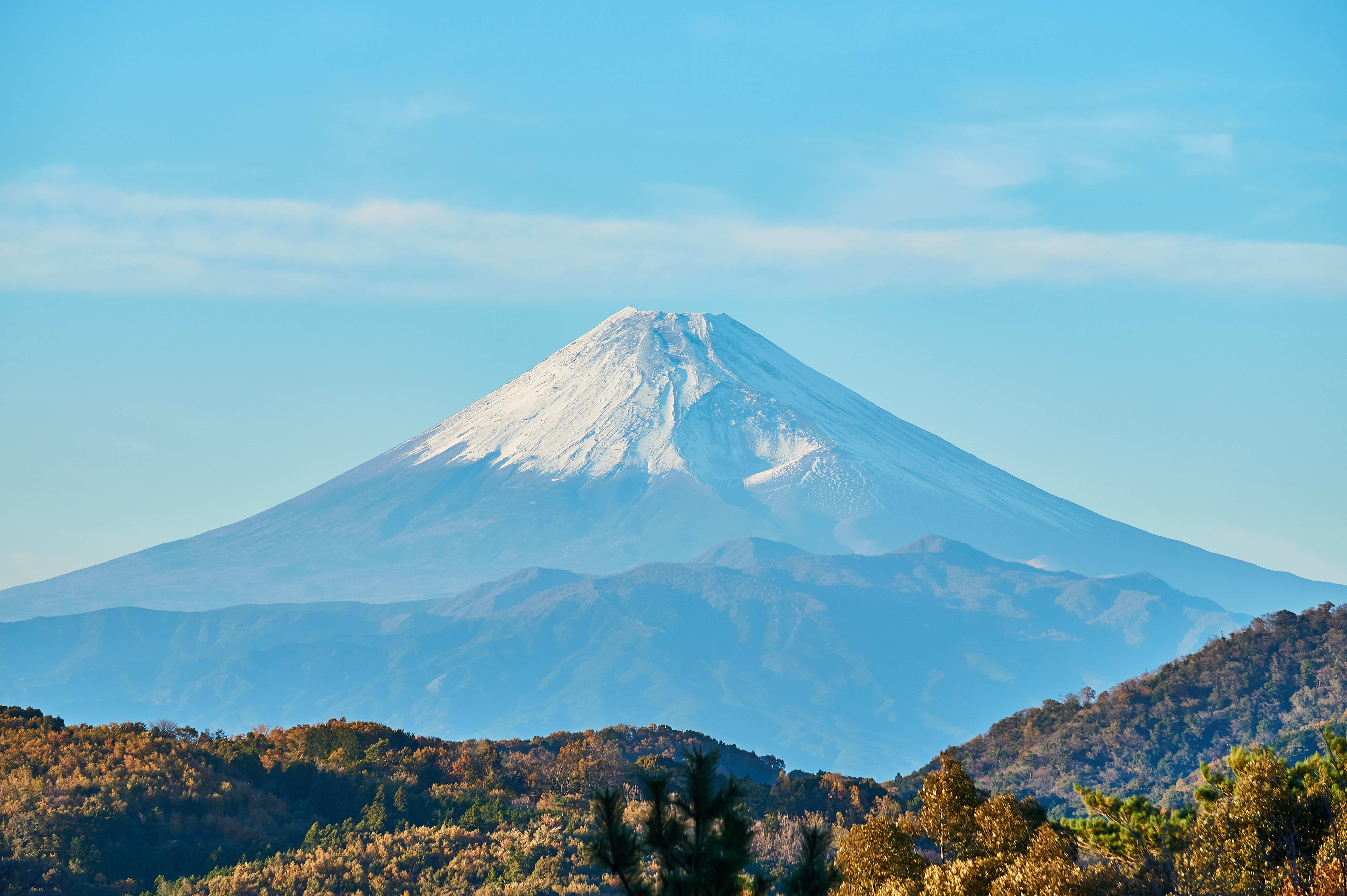 도쿄 출발: 후지산 절경과 유서 깊은 마을 슈젠지 온천 마을 산책 투어