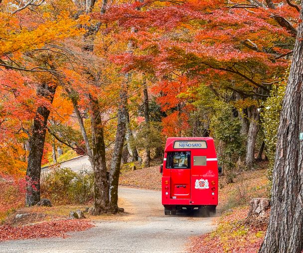 activity_detail_image