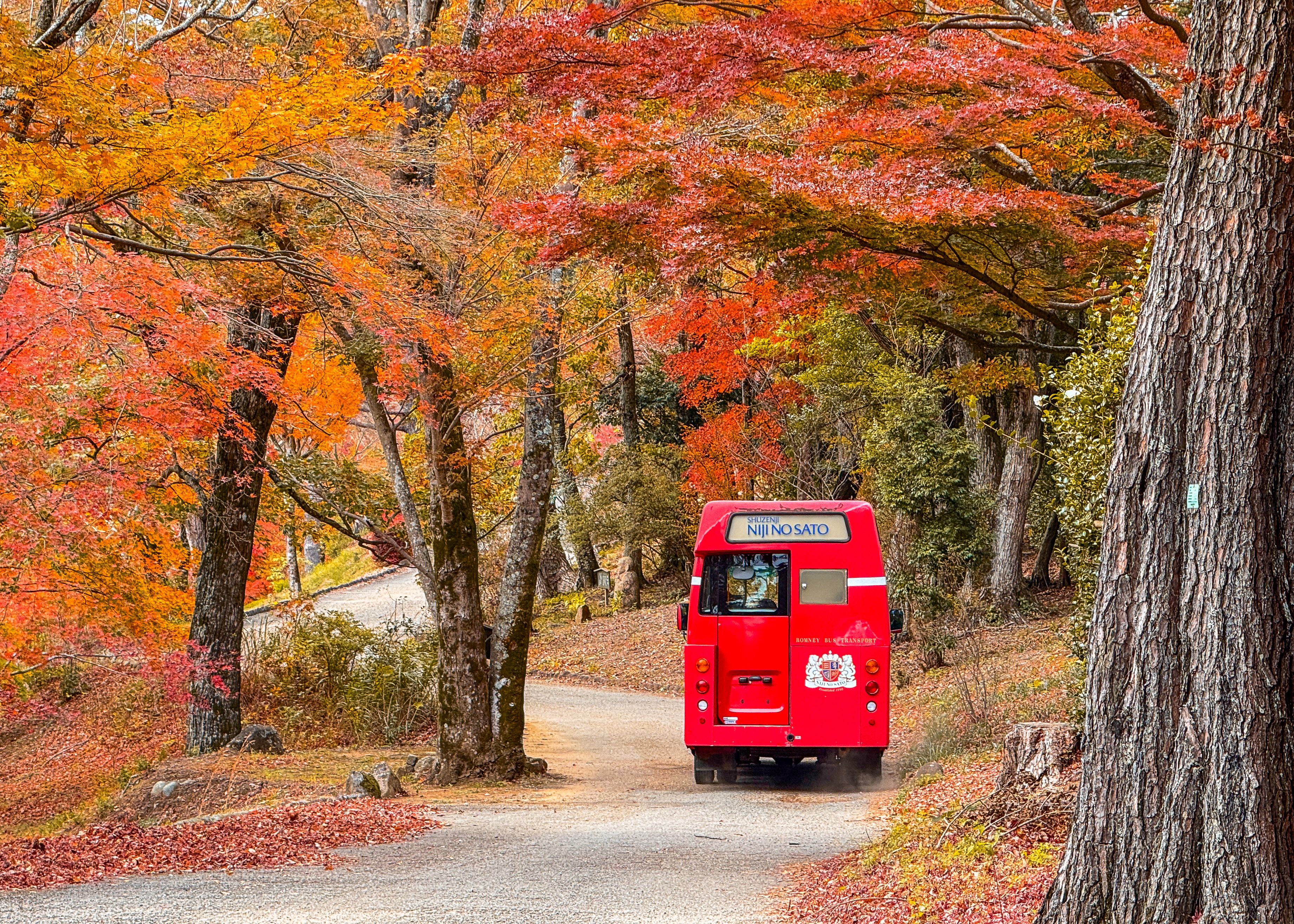 도쿄 출발: 후지산 절경과 유서 깊은 마을 슈젠지 온천 마을 산책 투어