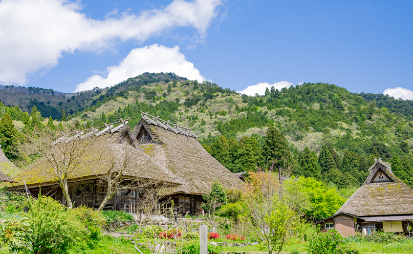 [Promotion] Kyoto: Ine Funaya & Amanohashidate, Miyama, Kayabuki no Sato Day Tour