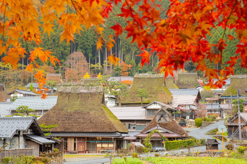 [Promotion] Kyoto: Ine Funaya & Amanohashidate, Miyama, Kayabuki no Sato Day Tour