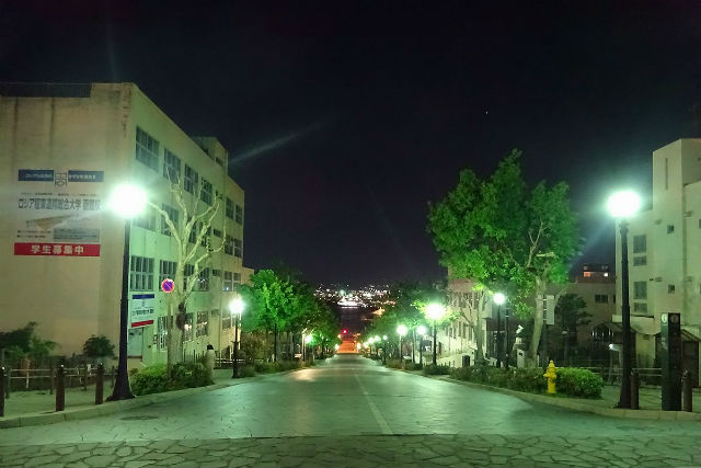 東京・渋谷ハイライトウォーキングツアー