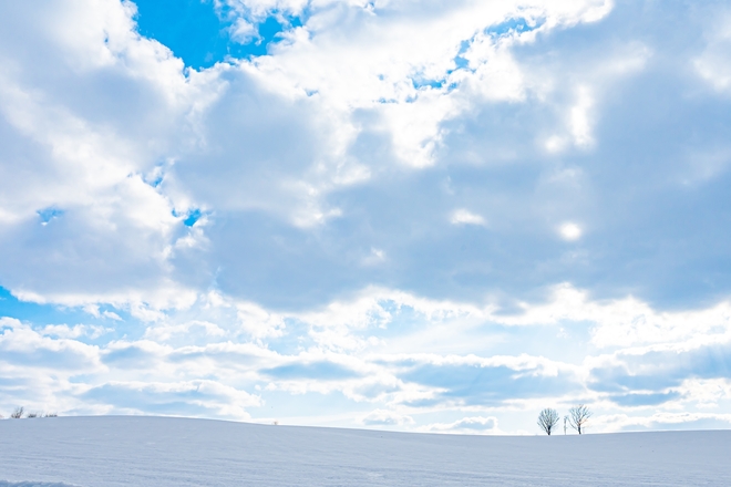 겨울 삿포로 후라노 & 비에이 버스투어 (쥰페이 예약, 웨이팅 NO!)