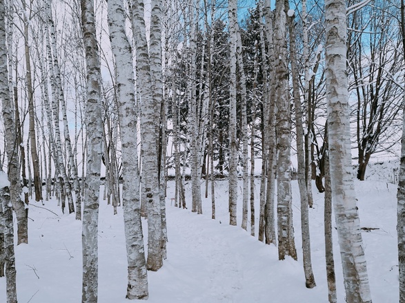 activity_detail_image