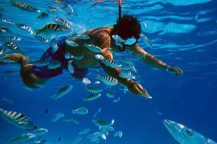 [푸꾸옥고스트] 푸꾸옥 남부 원데이 풀코스 (호핑 + 선셋타운 + 케이블카)