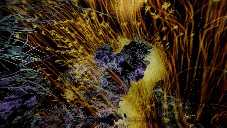 京都チームラボプラネッツ入場券 ＋ 京阪京都＆大阪パス