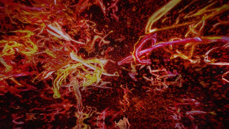 activity_detail_image
