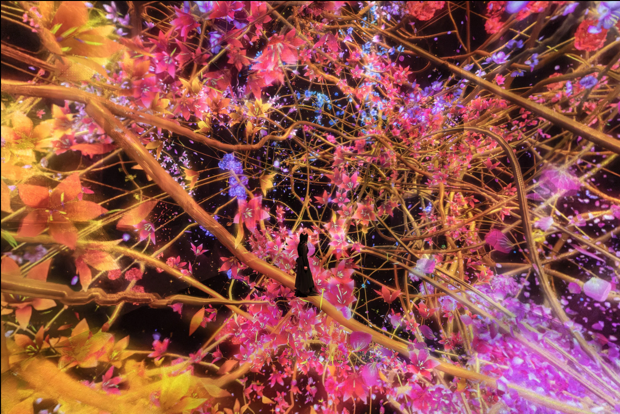 activity_detail_image