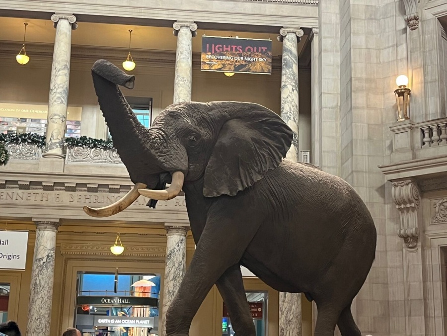 [5박6일] 뉴욕 출발: 나이아가라 + 미국, 캐나다 미동부 일주 투어 (하계 시즌)