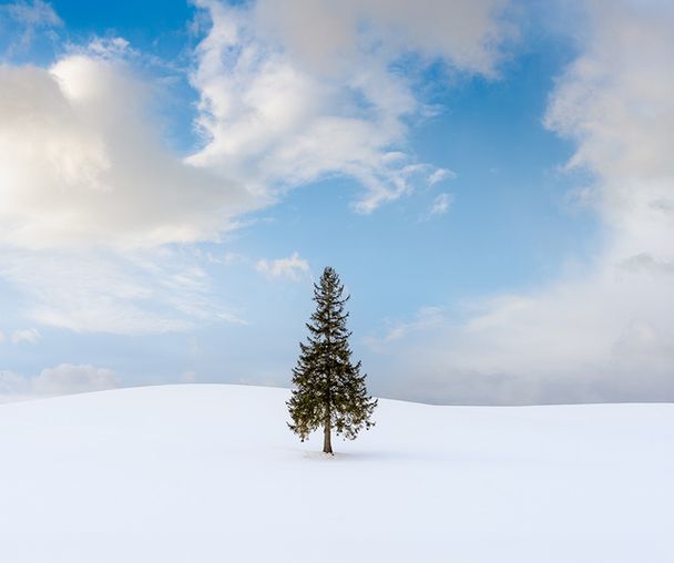 activity_detail_image