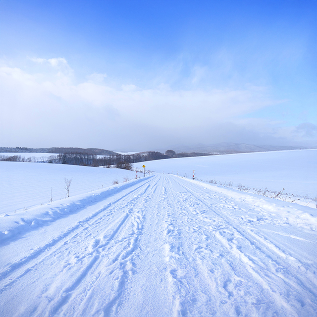 [독점할인] [아이트립] 삿포로 출발: 비에이 & 후라노 일일 투어 (패치워크 로드, 비에이역, 청의 호수, 흰 수염 폭포, 탁신관, 크리스마스 나무)