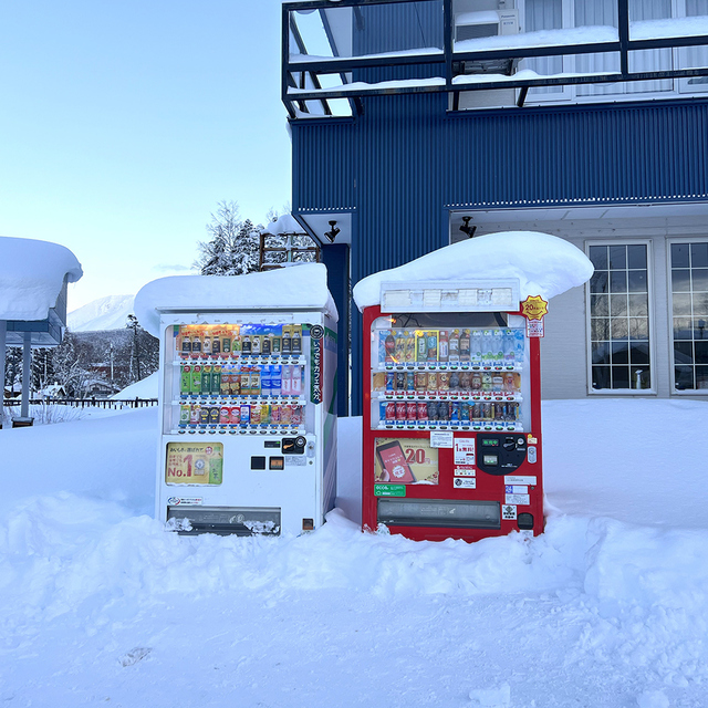 [ITRIP]札幌発・美瑛＆富良野日帰りツアー（パッチワークロード、美瑛駅、青の湖、白ひげの滝, 拓真館, クリスマスツリー)）