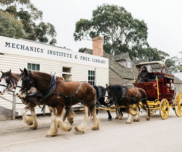 activity_detail_image