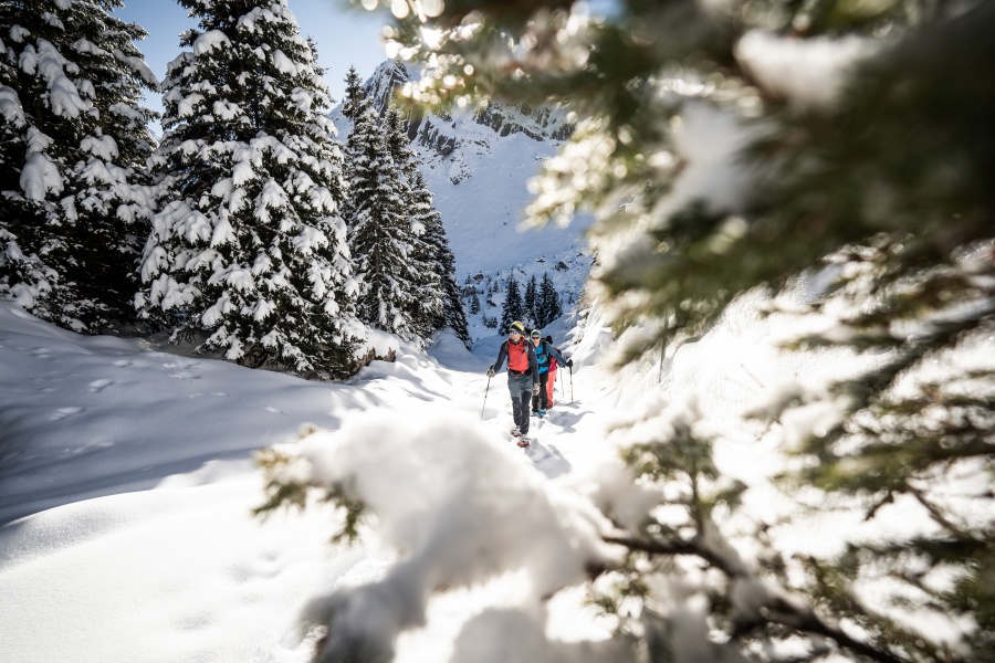 인터라켄 알프스 산맥 스노우 슈잉 체험