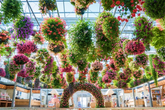 Shizuoka Mishima Skywalk Ticket (Mt. Fuji View)