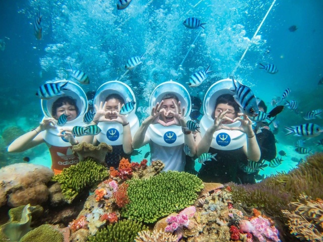 [피크타임] 다낭 참섬 3섬 호핑 투어 왕복 픽업/샌딩