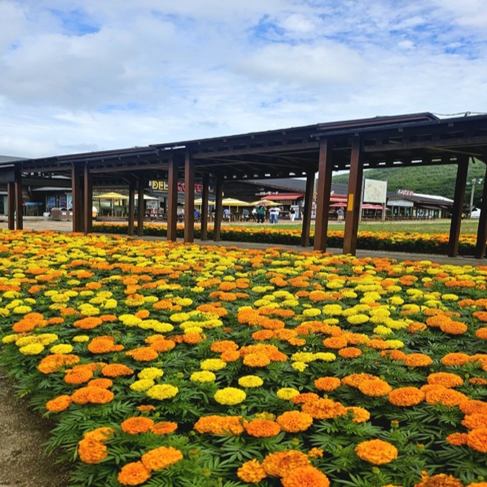 activity_detail_image